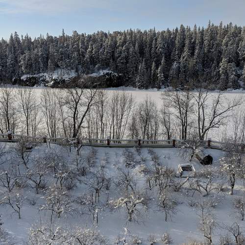 Photo #6908630