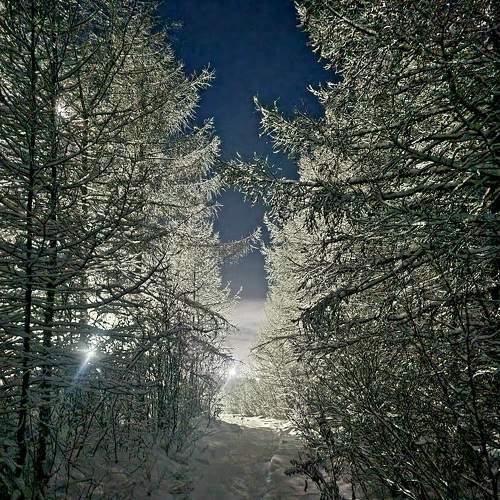 Photo #6908979