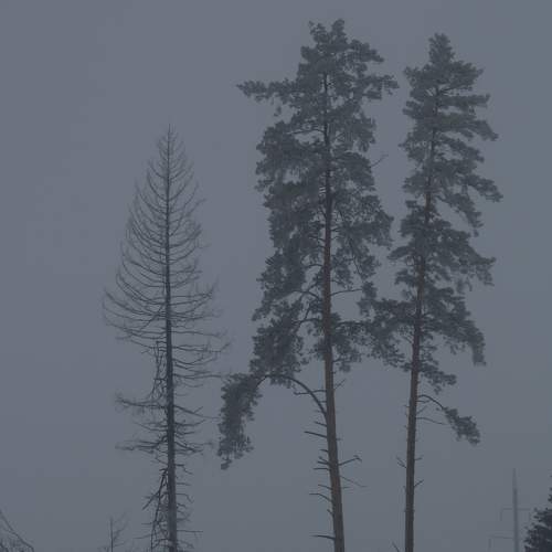 Photo #6909012
