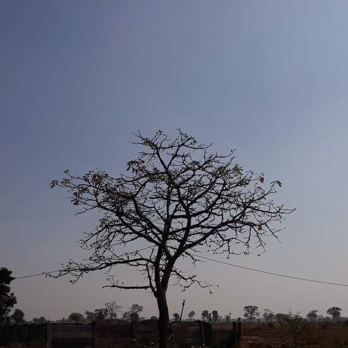 Photo #6909147