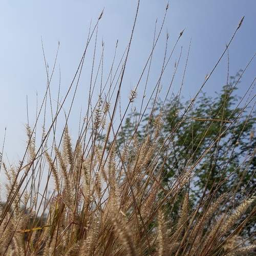 Photo #6909150