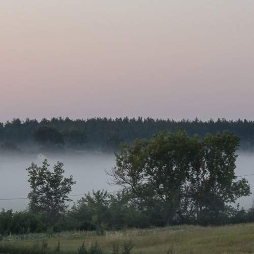 Photo #6909511