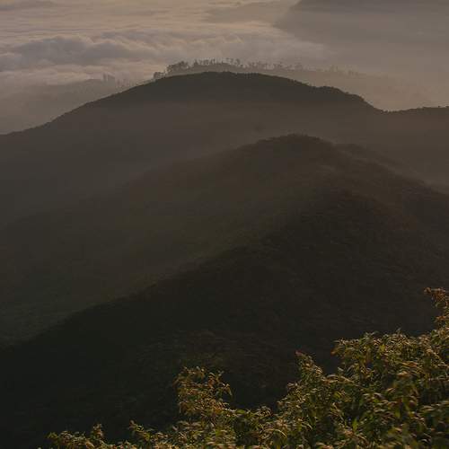 Photo #6909580