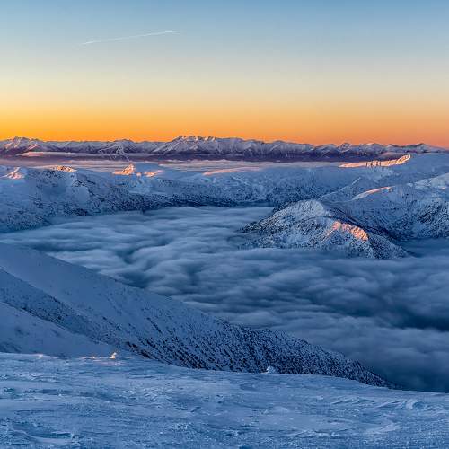 Photo #6909587