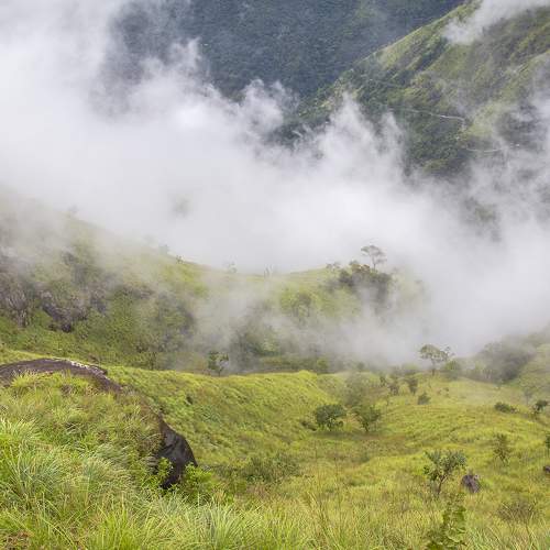 Photo #6909690
