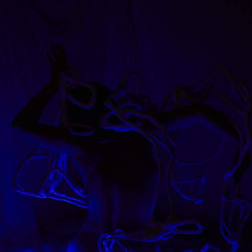 Photo #6909924