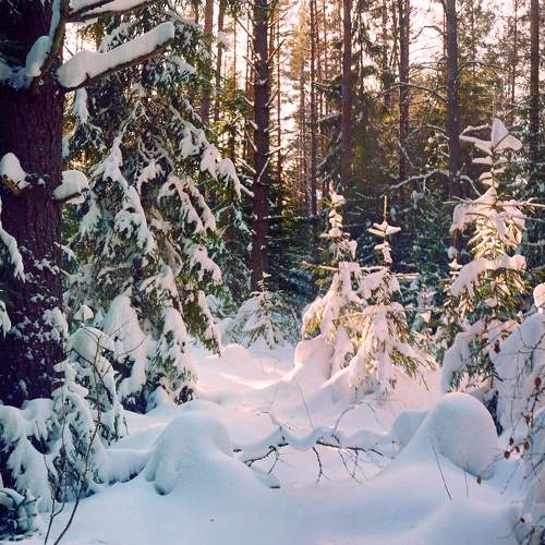 Photo #6909952