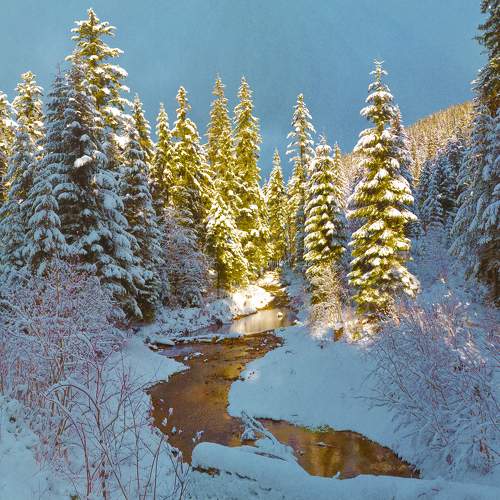 Photo #6909954