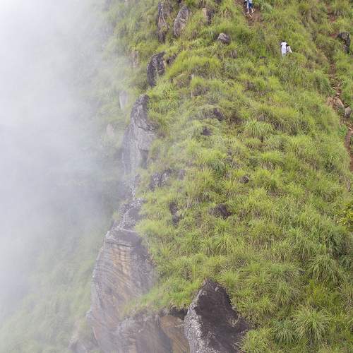 Photo #6910066