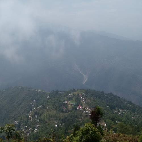 Photo #6910074