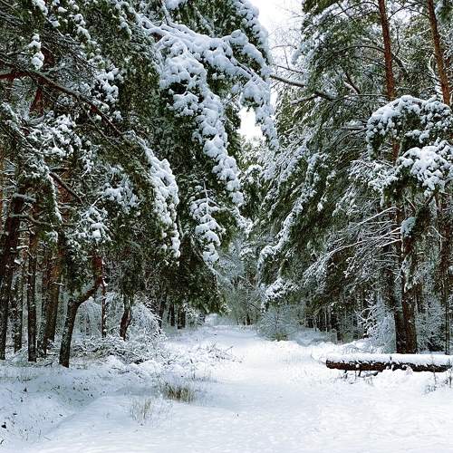 Photo #6910104