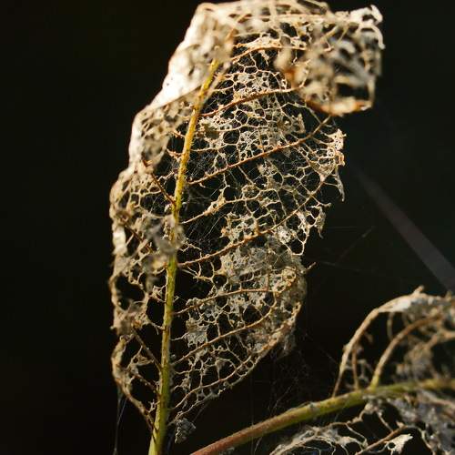 Photo #6910144