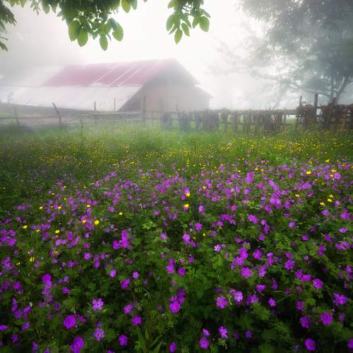 Photo #6910252