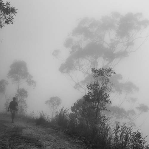 Photo #6910432