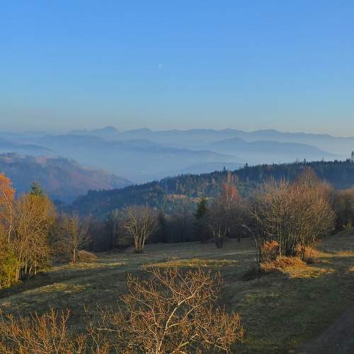 Photo #6910583