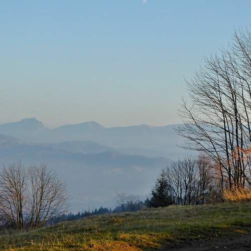 Photo #6910591