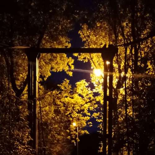 Photo #6910668