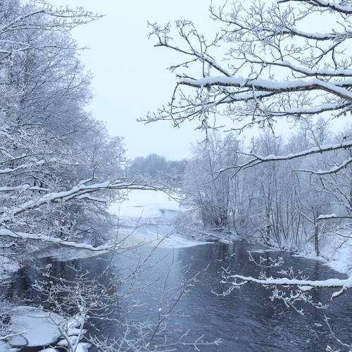 Photo #6910729