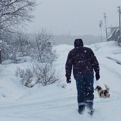 Photo #6910861
