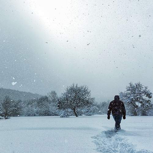 Photo #6910864