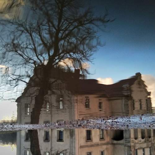 Photo #6910899