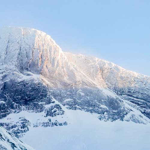 Photo #6911118