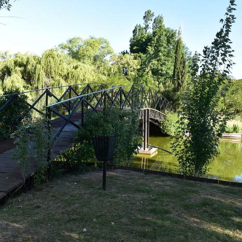 Photo #6911136