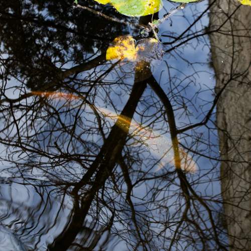 Photo #6911139