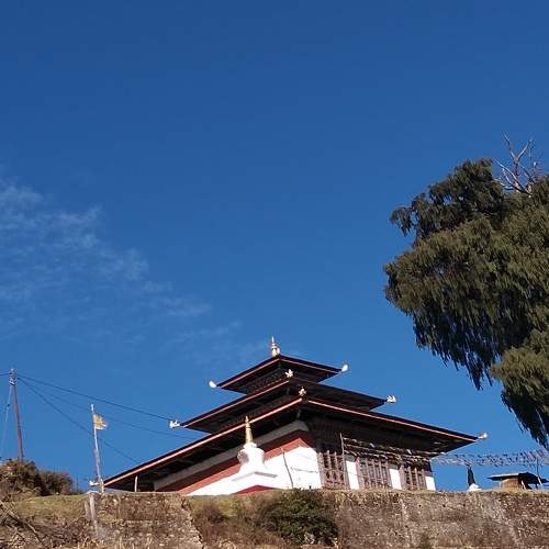 Photo #6911140
