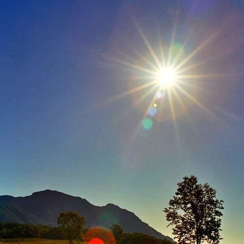 Photo #6911215