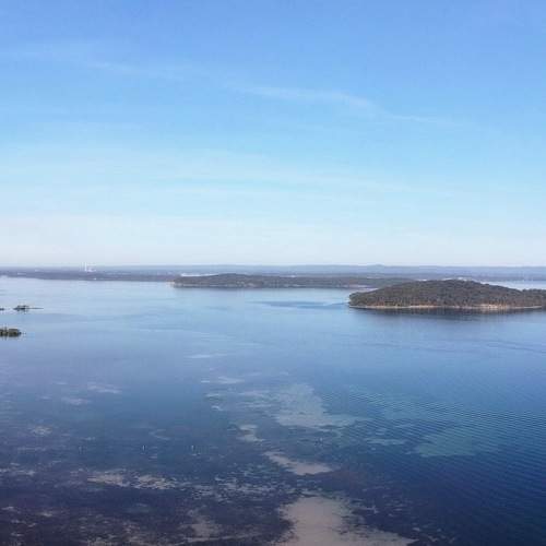 Photo #6911253