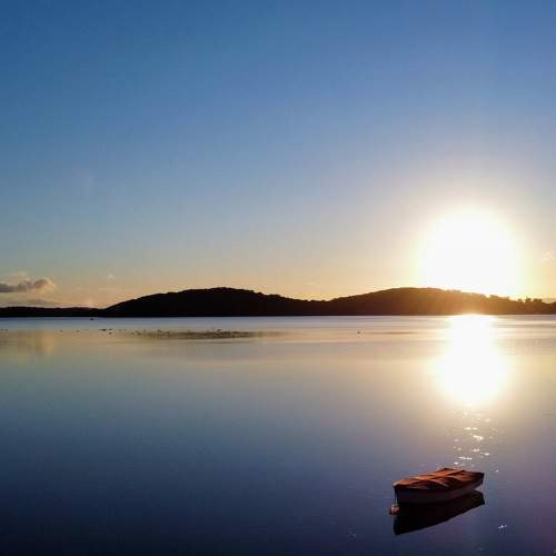 Photo #6911254
