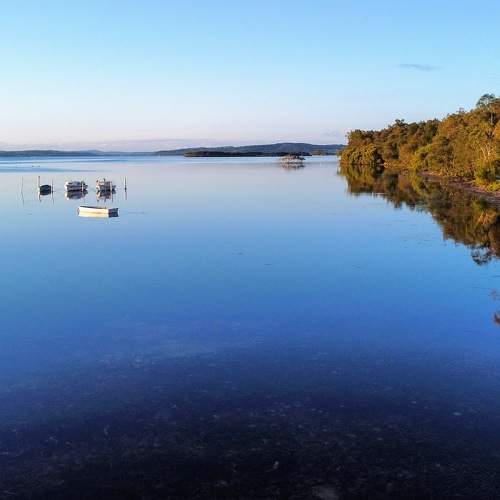 Photo #6911255