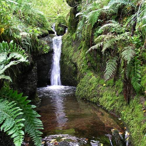 Photo #6911540