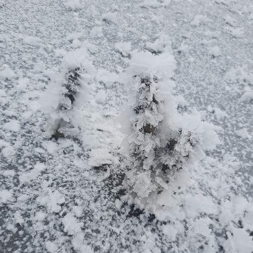 Photo #6911690