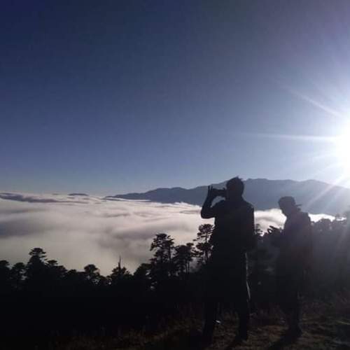 Photo #6912614
