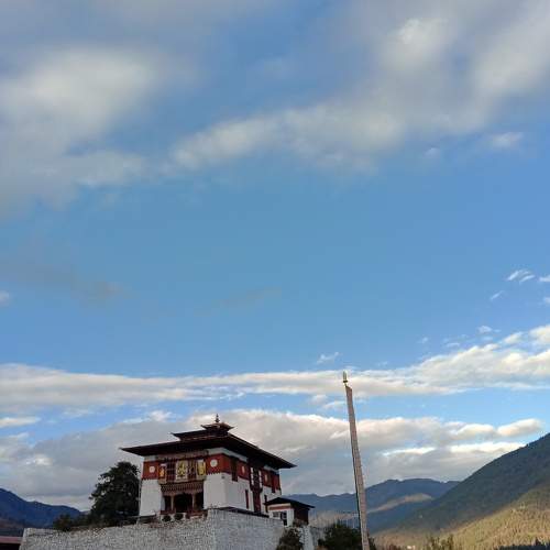 Photo #6912640