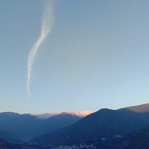 Photo #6912681