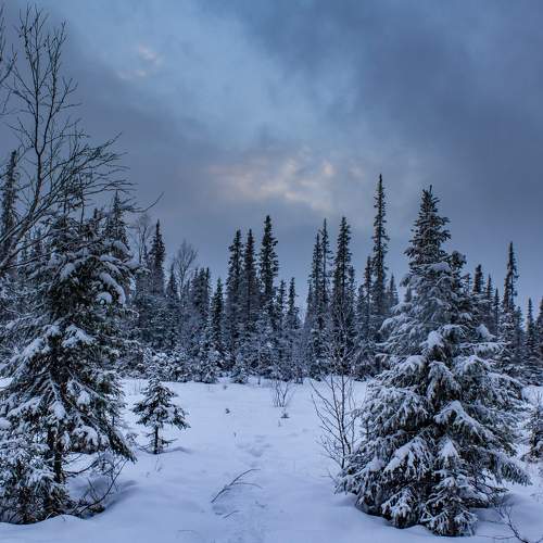 Photo #6913311