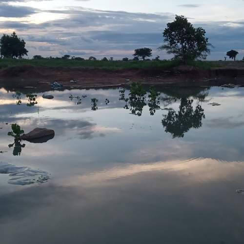 Photo #6913336