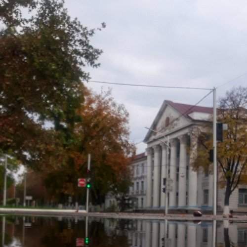 Photo #6913356