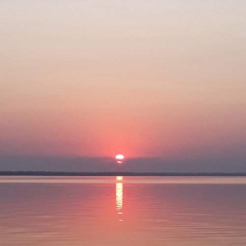 Photo #6913358