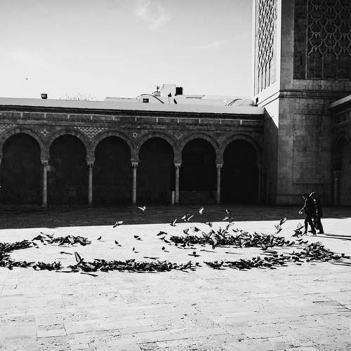 Hall of faith