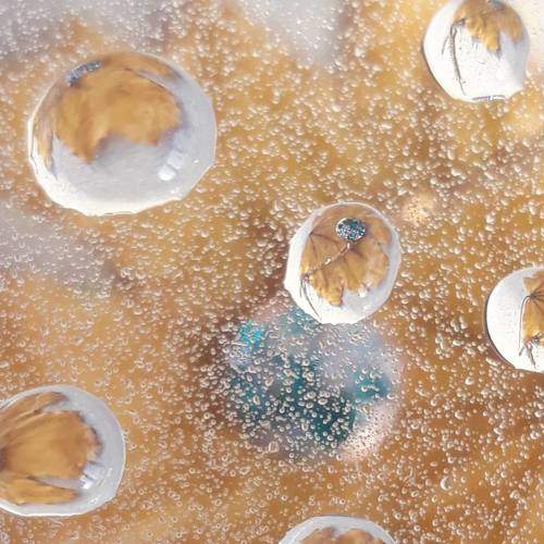 Photo #6913446