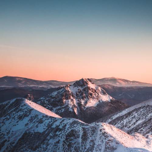 Photo #6913455