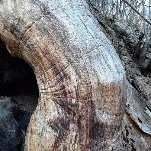 Photo #6913457