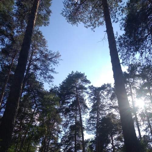 Photo #6913638