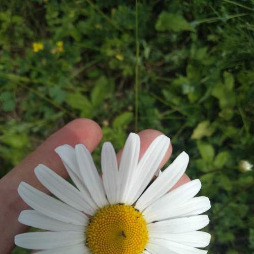 Photo #6913678