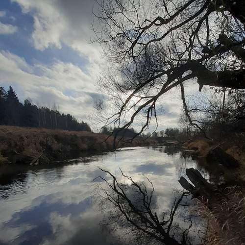 Photo #6913725