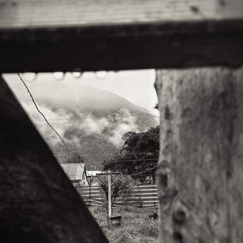 Photo #6913931